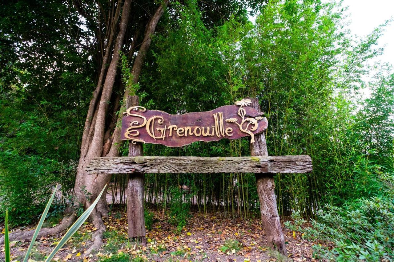 Hotel Grenouille *