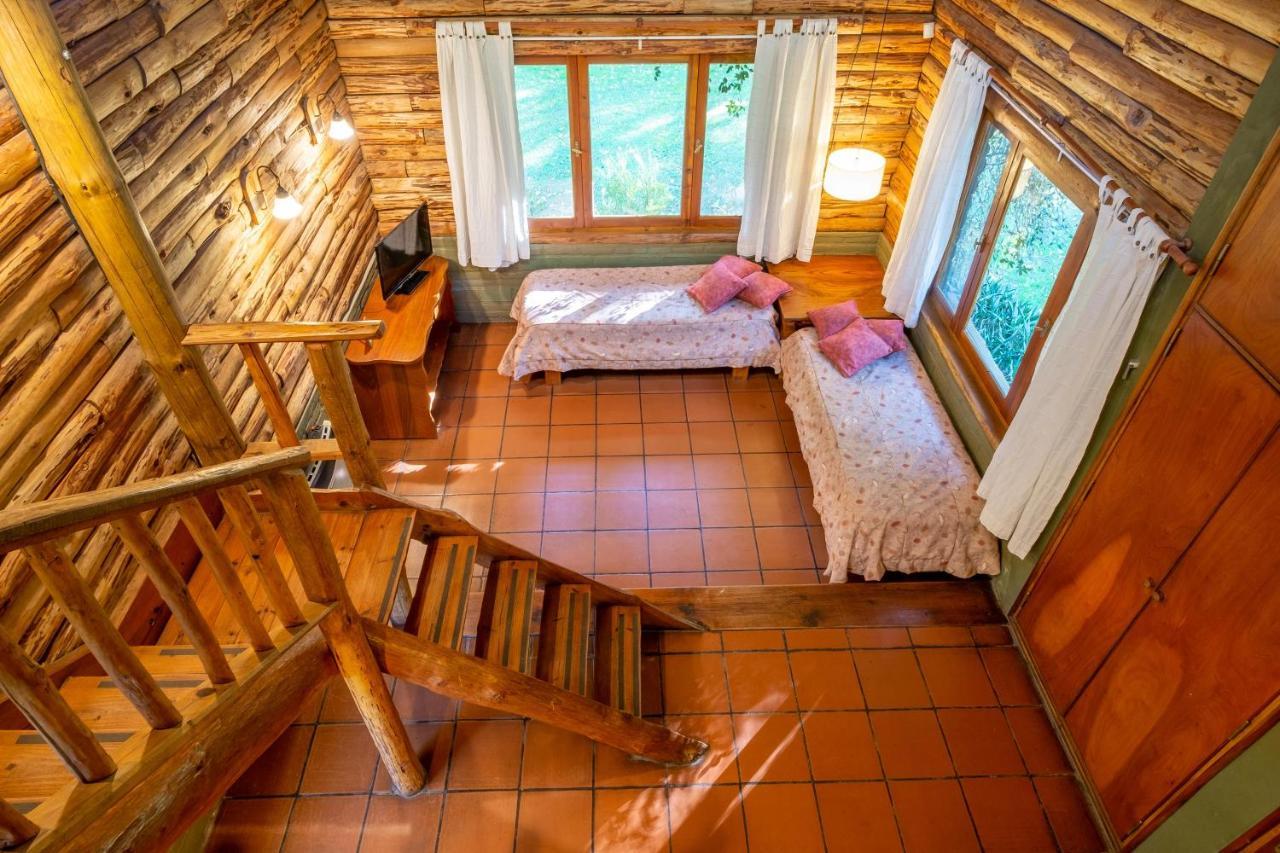Hotel Grenouille